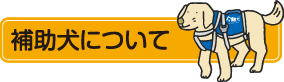 補助犬について